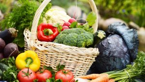 organik-tarım-organikciyizbiz (2)